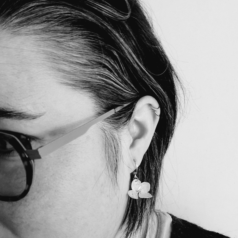 BO fleurs sechees hortensia